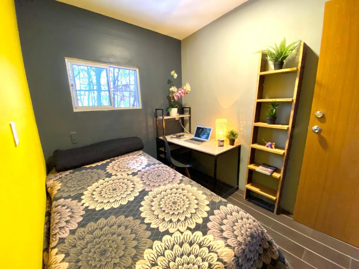 Roomies Hostel - Santa Maria La Ribera مدينة مكسيكو المظهر الخارجي الصورة