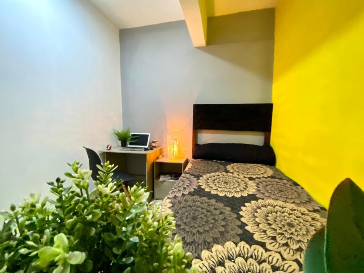 Roomies Hostel - Santa Maria La Ribera مدينة مكسيكو المظهر الخارجي الصورة