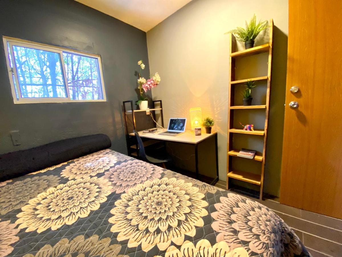 Roomies Hostel - Santa Maria La Ribera مدينة مكسيكو المظهر الخارجي الصورة