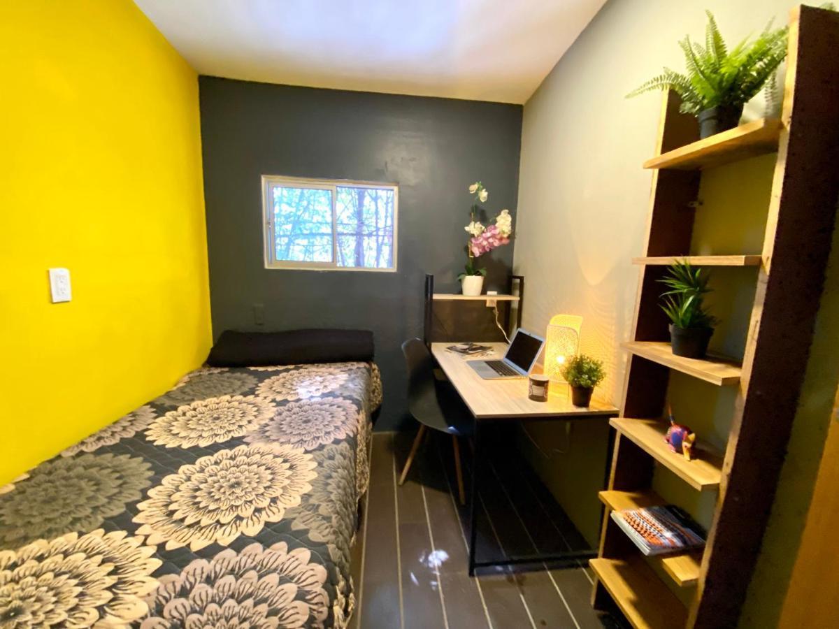 Roomies Hostel - Santa Maria La Ribera مدينة مكسيكو المظهر الخارجي الصورة